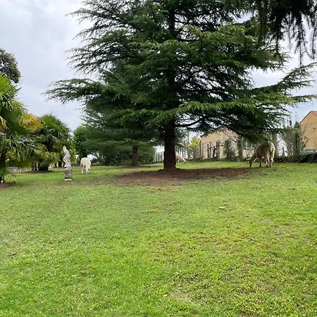 Guest house D'hotes Salles De Bain Integree Et Entree Privee , Parking Gratuit Sarlat-la-Caneda